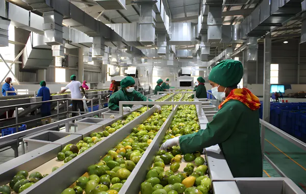 Supply Chain Finance Screenshot